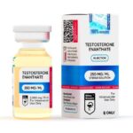 Testosterone Enanthate Hilma Biocare